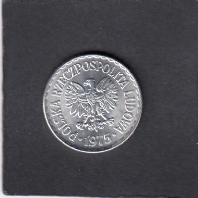 Beschrijving: 1 Zloty